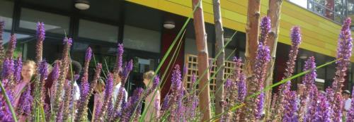 processImage (1).jpg